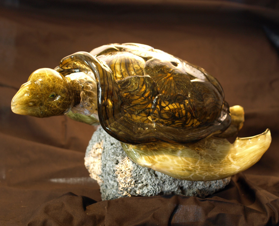 Oregon Coast Glassworks Sea Turtle Mounted